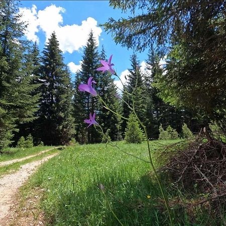 Wood Inn Žabljak Kültér fotó