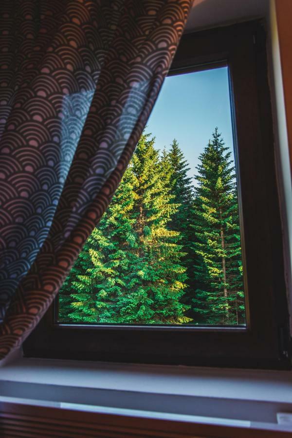 Wood Inn Žabljak Kültér fotó